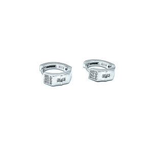PENDIENTE PLATA ARO CIRCONITAS                                                                      