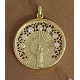COLGANTE PLATA VIRGEN PILAR 30 M BAÑO OR                                                            