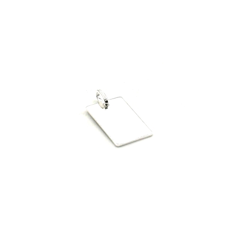 PLACA PLATA LISA 2,1 X 1,3                                                                          