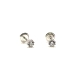 PENDIENTE PLATA CIRCONITAS 8 GARRAS RH                                                              