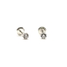 PENDIENTE PLATA CIRCONITAS 8 GARRAS RH