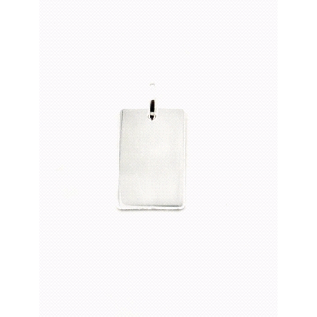 PLACA PLATA LISA 2,5 X 1,5 CM                                                                       