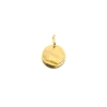 COLGANTE PLATA DISCO 14 MM BAÑO ORO